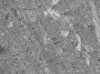 Calcari: Rettificati con diamante da 6 μ (ingrandimento 10x)