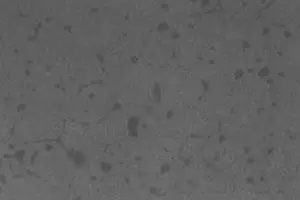 Microestrutura de magnesita sinterizada de alta densidade, contendo 97% de MgO.