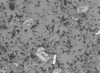 Piedra caliza: pulida con pasta de diamante de 3 μ (10x)