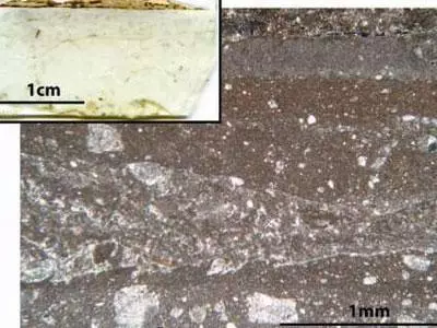 Microestructura de piedra caliza