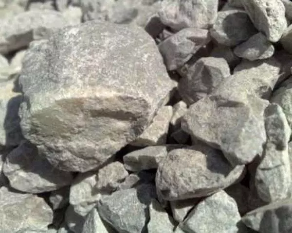 Preparación de la sección fina de roca para piedra caliza