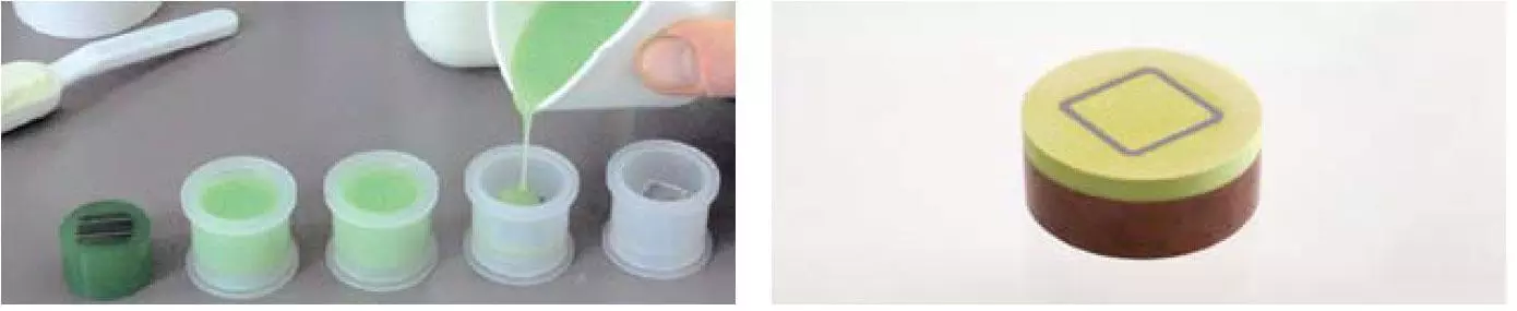 Technovit 4071 mounting resin
