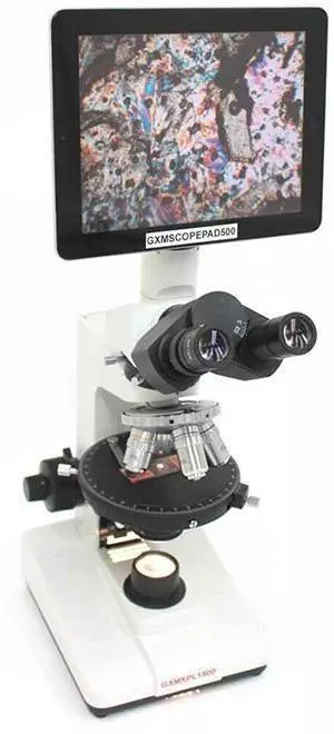 best Polarising microscopes