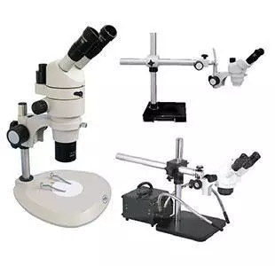 stereo microscopes