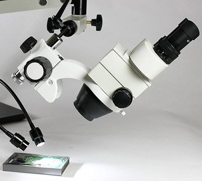 Stereo Microscope