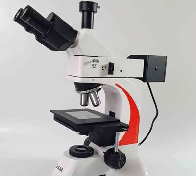 Upright Microscope