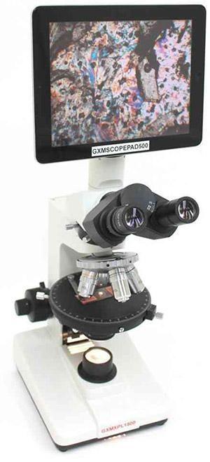 Microscopi polarizzanti

